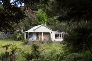 Historical Cottage in New Zealand Native Bush